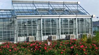 photos : J.LACHURIE